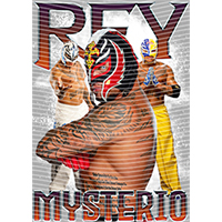 idol singer-GS  2441